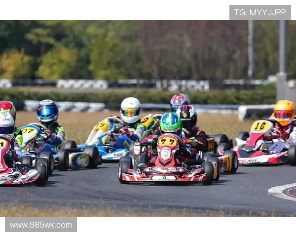 F1赛季激烈角逐 本赛季新规则引发车迷热议与期待